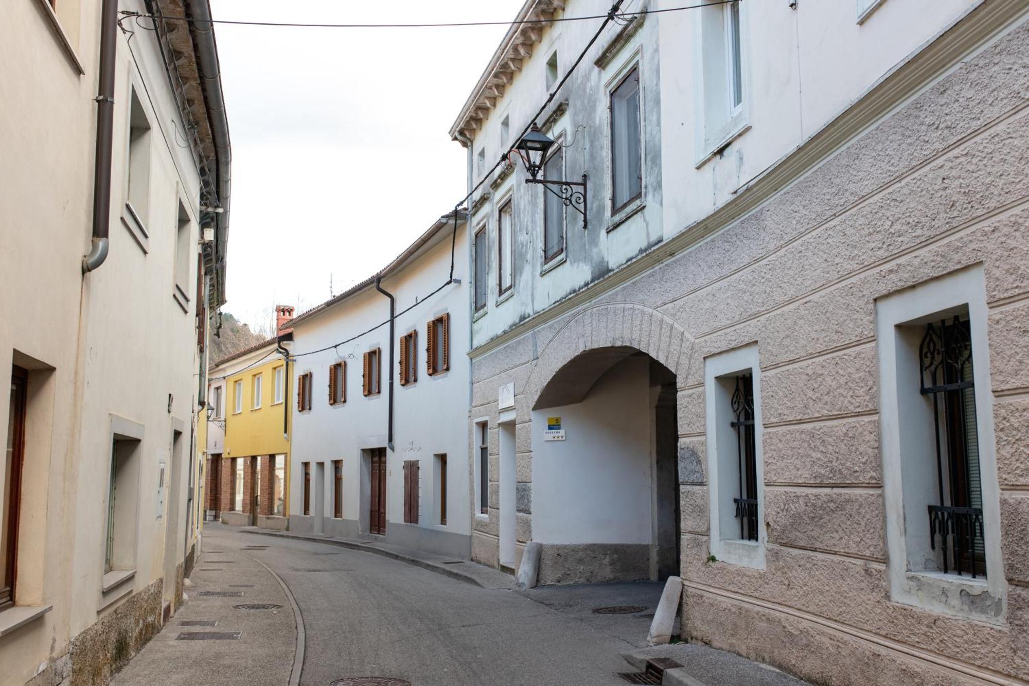 Oliver Street Apartment Vipava Exterior photo
